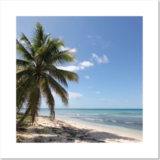 Isla Saona Caribbean Paradise Beach Posters and Art